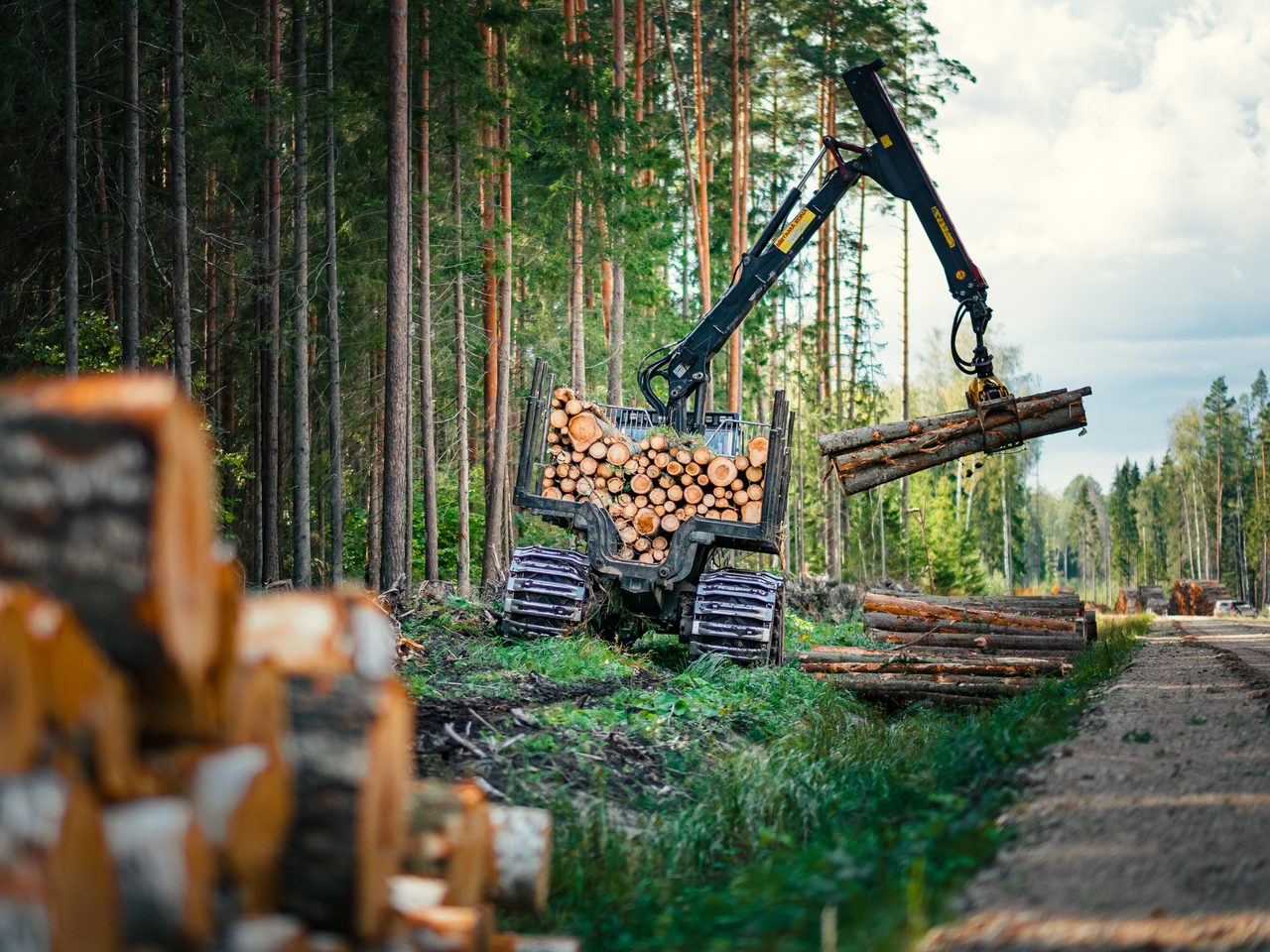 A forwarder lifting a grab of timber on a forestry site